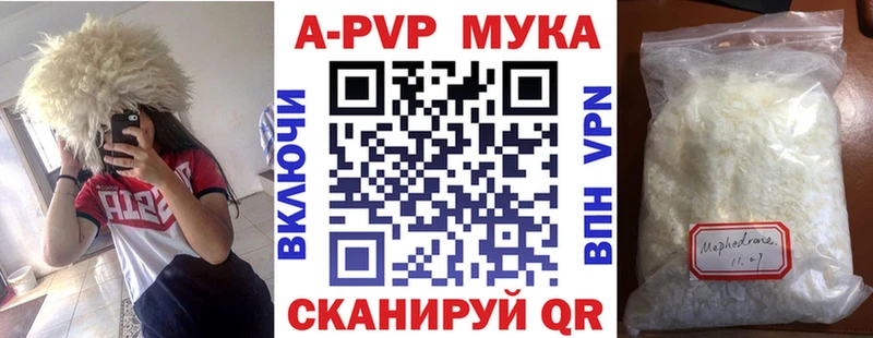 MEGA tor  Находка  А ПВП СК КРИС 