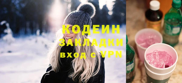 крисы Каменка