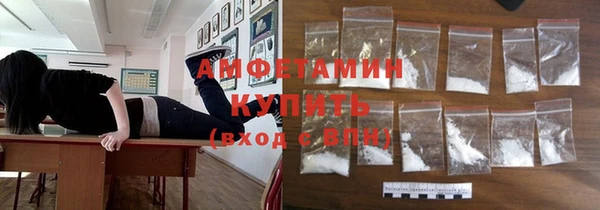 крисы Каменка