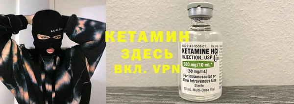 крисы Каменка