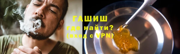 крисы Каменка
