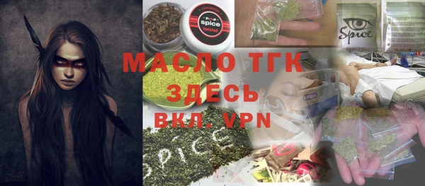 крисы Каменка