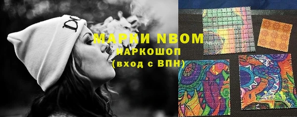 не бодяженный Инсар