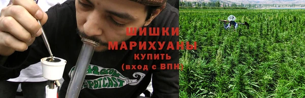 трава Иннополис
