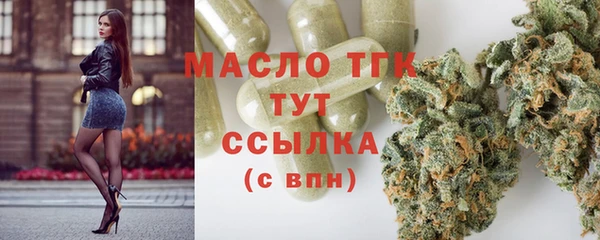 крисы Каменка