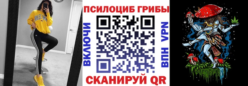 Псилоцибиновые грибы GOLDEN TEACHER  МЕГА ссылки  Находка 