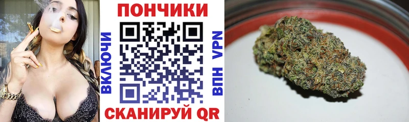 Бошки марихуана гибрид  blacksprut ТОР  Находка 